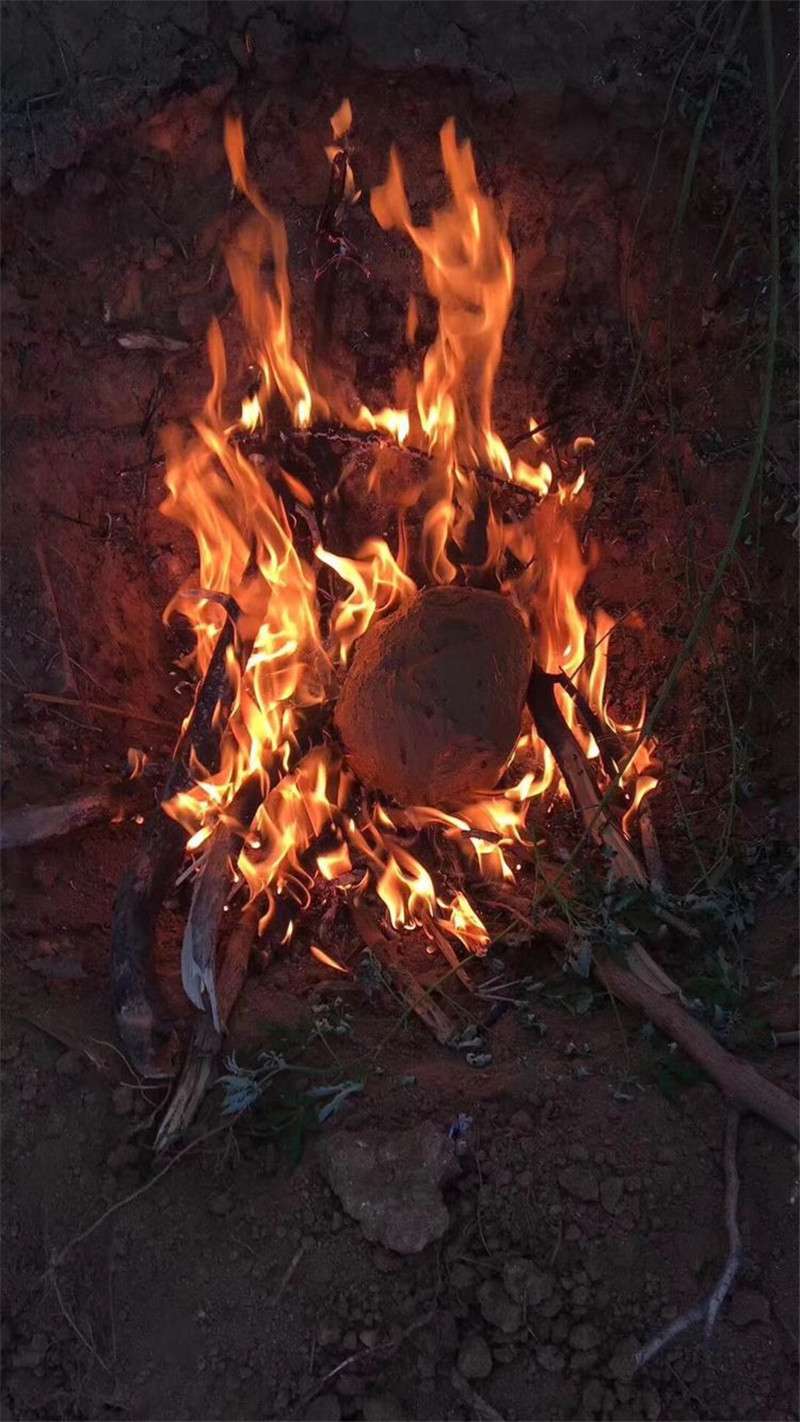 天恒裝飾拓展訓練花絮