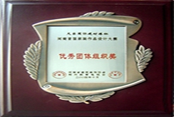 優秀獎團隊組織獎
